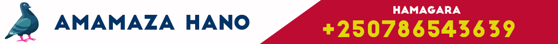 cropped-cropped-banner-promo-1120-wu-1-1.png
